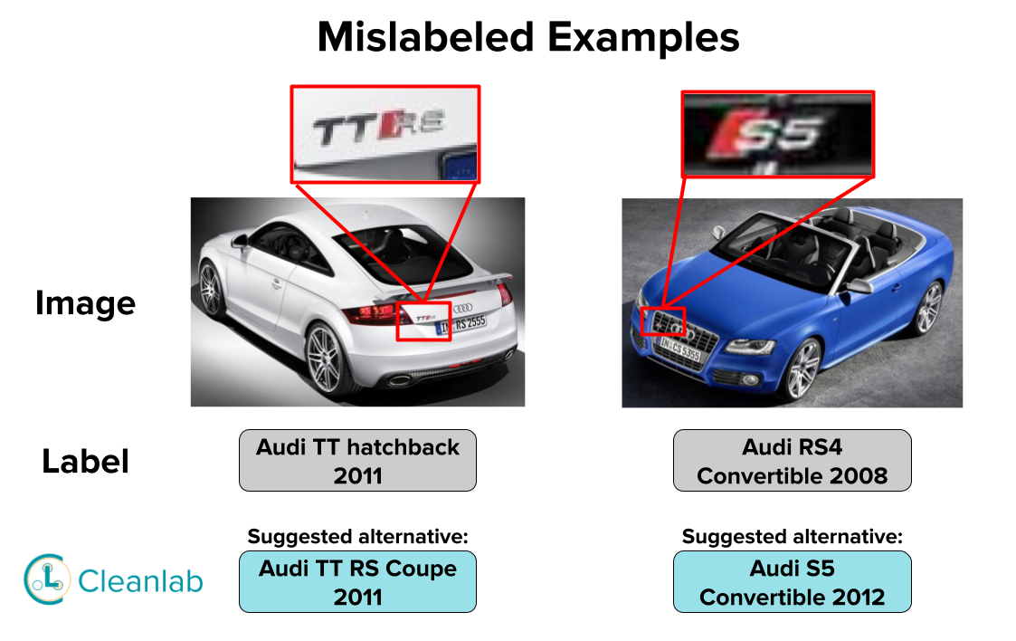 Examples of a fine-grained label errors.