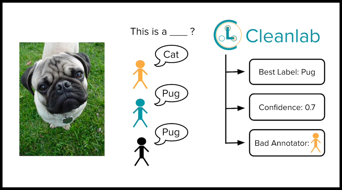 Overview of estimates provided by CROWDLAB