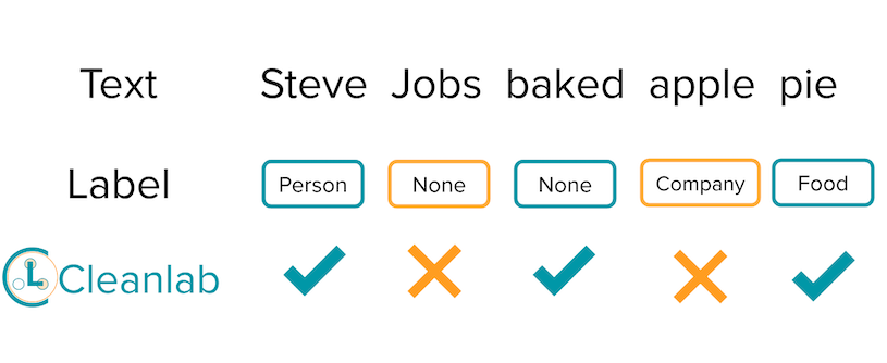 Detecting Label Errors in Entity Recognition Data